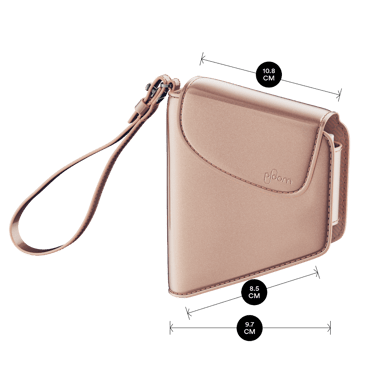 Ploom Jet Black Solor Carry Case shown with product dimensions: 10.2cm height x 2.2 cm width and 2.2 cm depth