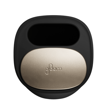 Ploom Böyük Çubuq Qabı yuxarıdan görüntü
