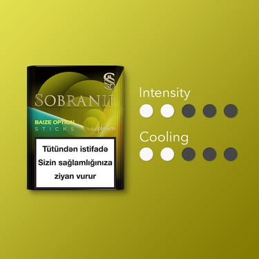 Sobranie for Ploom Baize Option Tobacco Carton